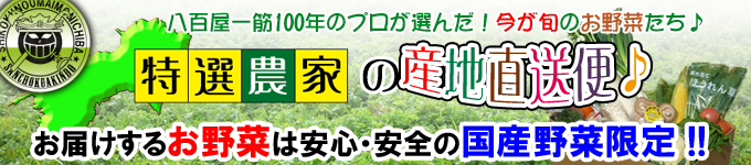 四国のお野菜の通販/宅配は新鮮市場【産直あきんど】