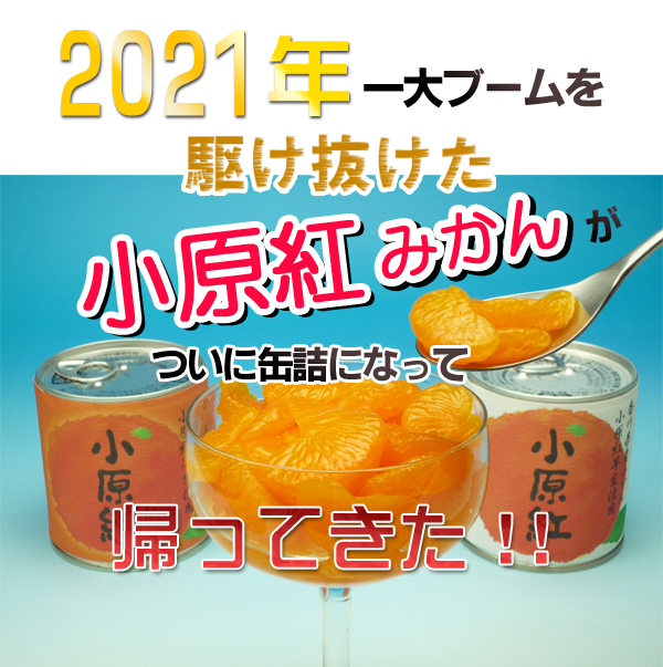 香川産！小原紅みかんの缶詰♪新鮮市場【産直あきんど】