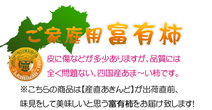 訳アリの富有柿の販売店