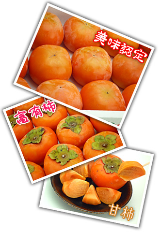 富有柿の通販!お取り寄せは産直便で♪