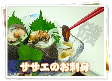 さざえの刺身！お造りはオンラインショッピングで♪