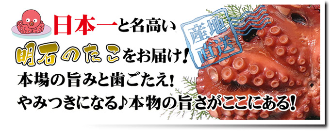 明石のたこの産地直送便！新鮮市場【産直あきんど】にお任せ！