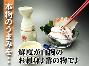 蛸の天ぷら・天麩羅・酢の物は通販で！直送便でお届け致します！