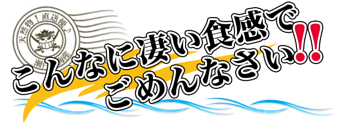 瀬戸内海産！タイラギ貝のお取り寄せ！