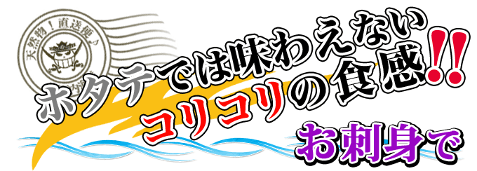 たいらぎ貝の刺身！お造りは産直あきんどで♪