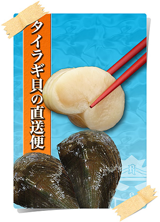 たいらぎ貝の通信販売店