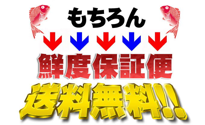 送料無料！鯛の通販！天然鯛の事ならお任せ！