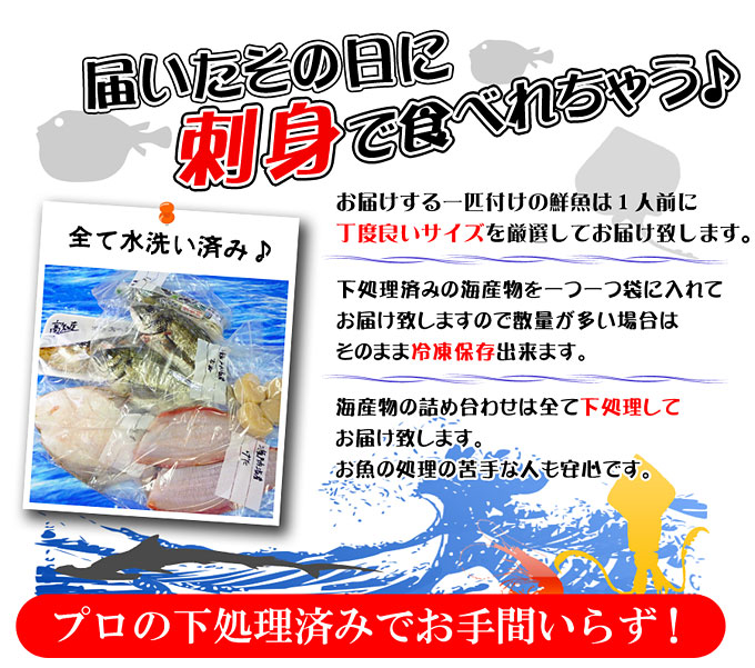 濱田鮮魚店が魚を販売しています！