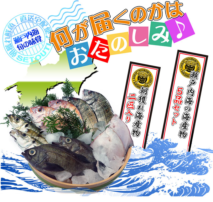 濱田鮮魚店の通販鮮魚！瀬戸内海の鮮魚を産地直送便！