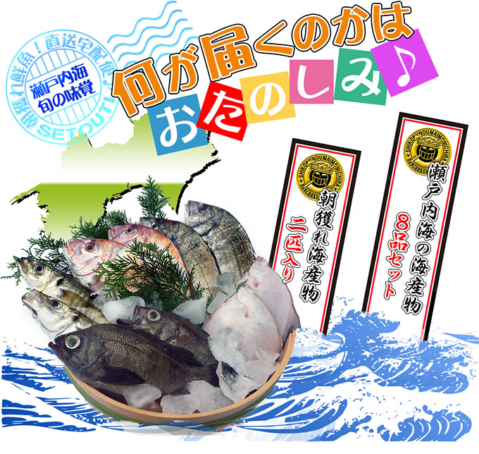 濱田鮮魚店の通販鮮魚！瀬戸内海の鮮魚を産地直送便！