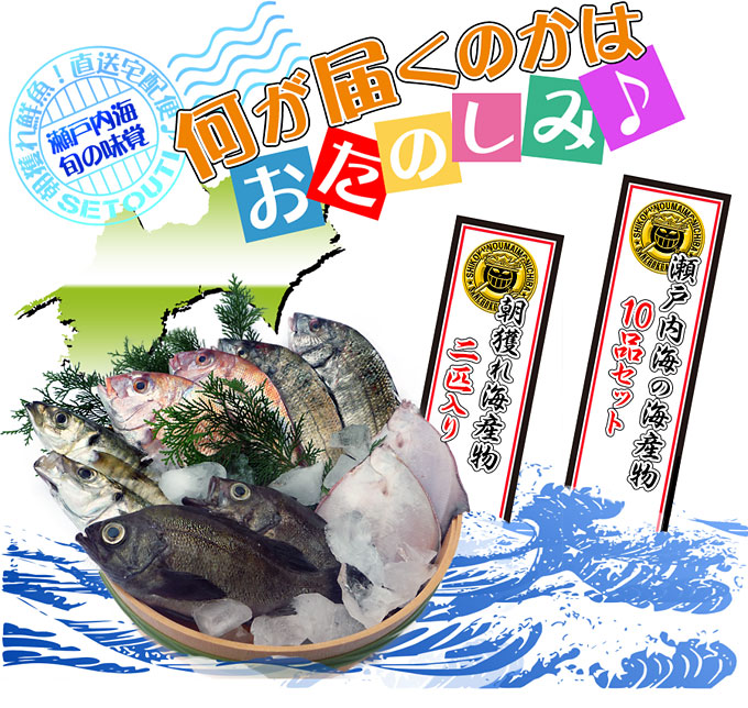 濱田鮮魚店の通販鮮魚！瀬戸内海の鮮魚を産地直送便！