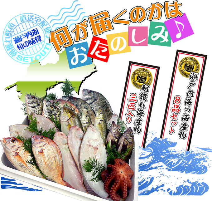 鮮魚宅配！通販専門店！新鮮な鮮魚をお取り寄せ♪