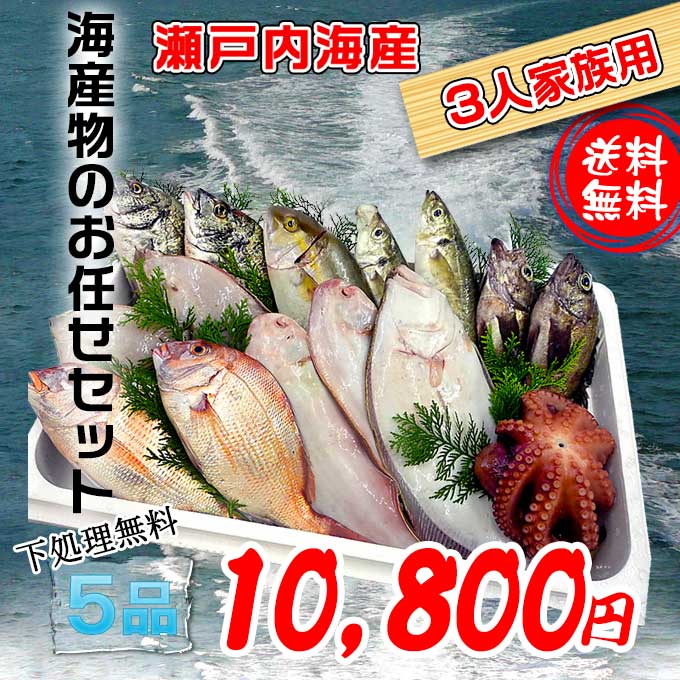 濱田鮮魚が産地直送で新鮮な魚介類をお届け致します♪