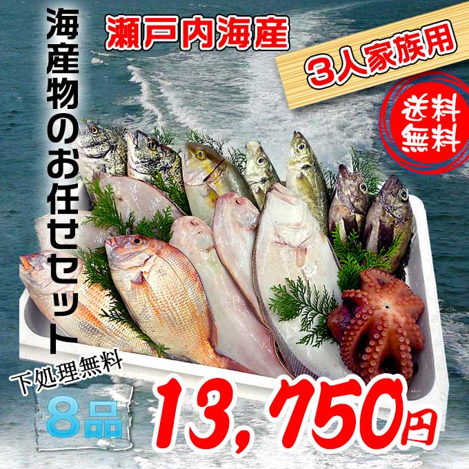 産地直送で新鮮な魚介類をお届け致します♪