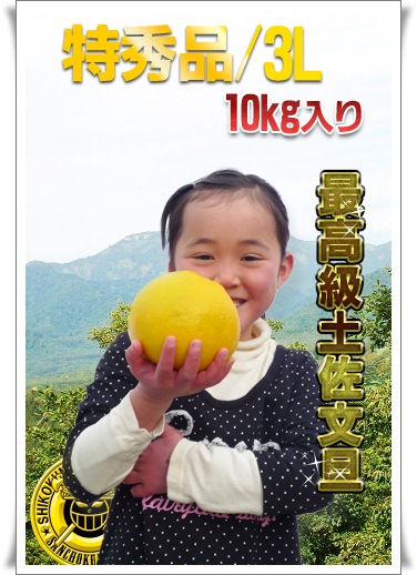 土佐文旦の事なら果物専門店。新鮮市場【産直あきんど】