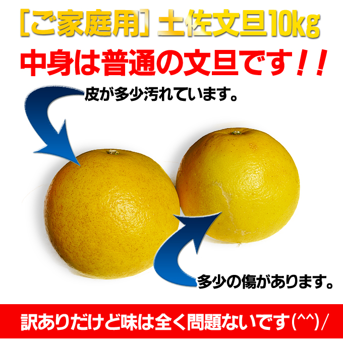 ［送料無料］ご家庭用土佐文旦10kg