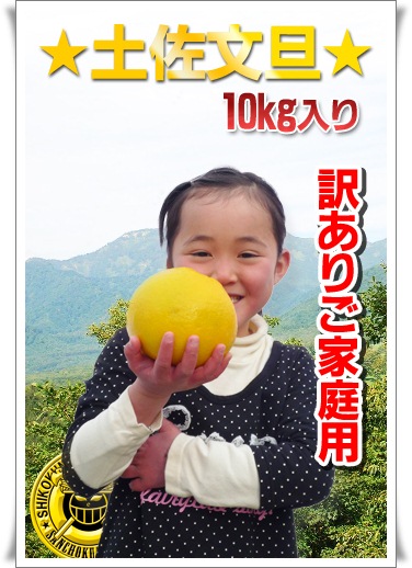 高知産！訳あり！ご家庭用の土佐文旦を送料無料で♪