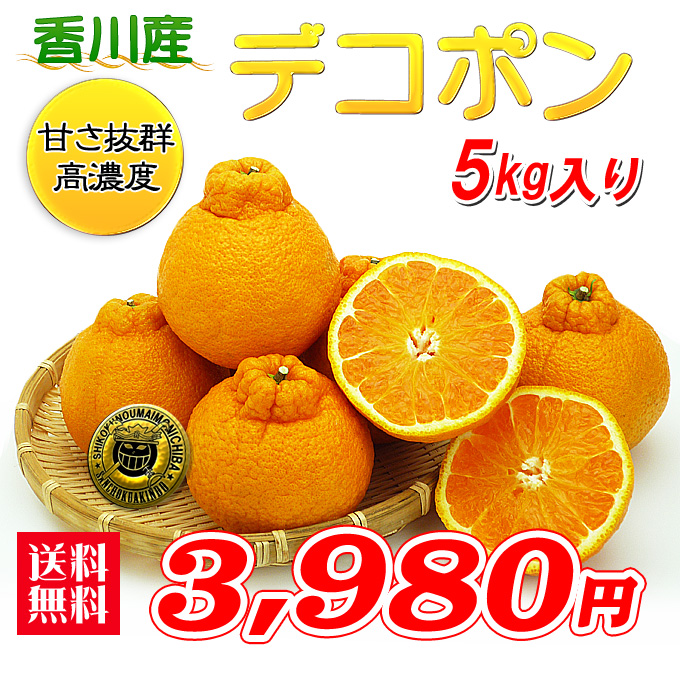 通販 デコポン