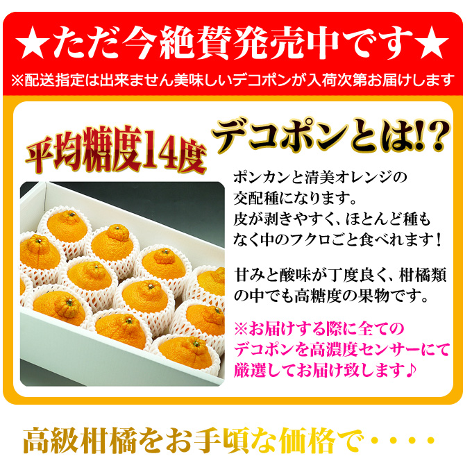 通販 デコポン