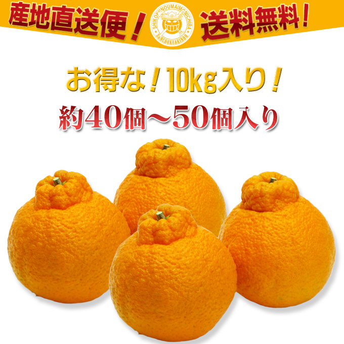 デコポンをお取り寄せ。通販サイト