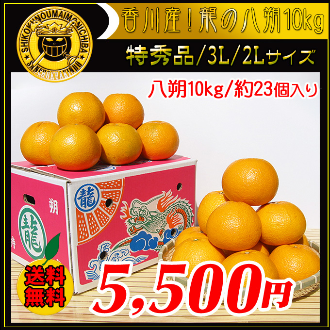 八朔の通販。お取り寄せサイト。新鮮市場【産直あきんど】