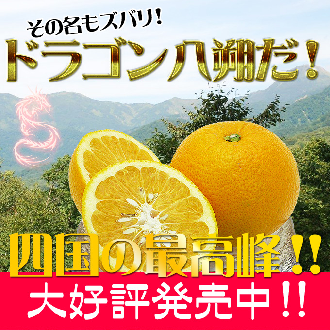 ［送料無料］八朔の通販。柑橘類。