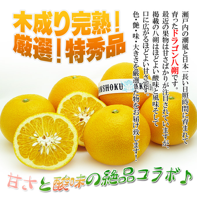 八朔の事なら新鮮市場【産直あきんど】