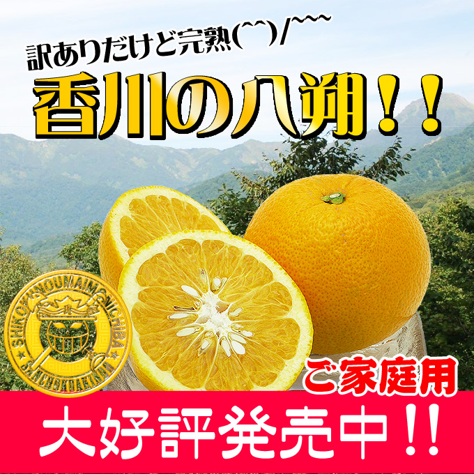 西日本の八朔の通販サイト。新鮮市場【産直あきんど】