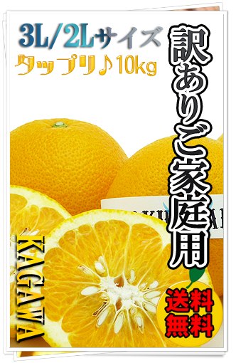 八朔の事なら新鮮市場【産直あきんど】にお任せ♪