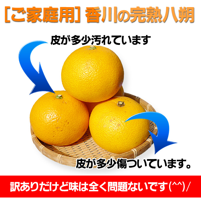 訳あり八朔10kgの通販。