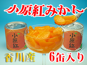 小原紅みかんの缶詰