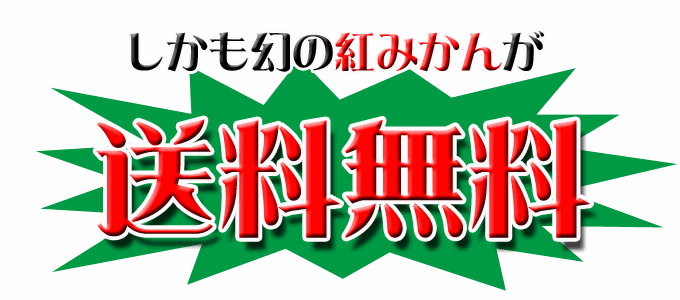 わけあり!送料無料の小原紅みかん