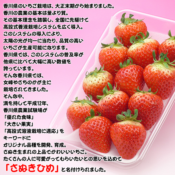 さぬき姫の説明