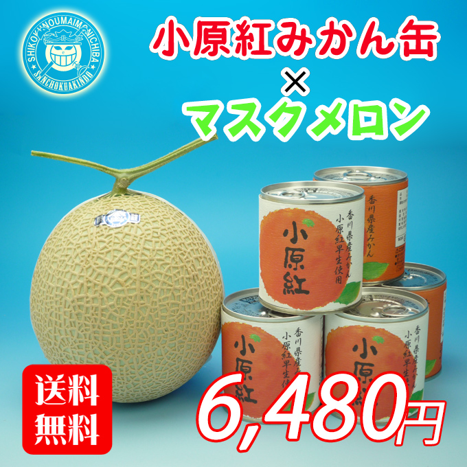 《送料無料》高知産のマスクメロンと小原紅みかんの缶詰セット