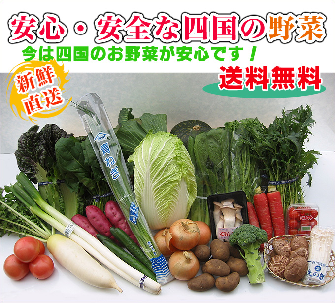 新鮮な産直野菜の通販店！野菜販売の通販店！新鮮市場【産直あきんど】市場