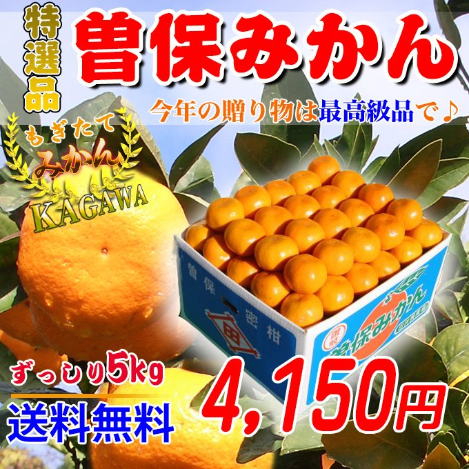 香川産のみかん!曽保みかんは新鮮市場【産直あきんど】にお任せ