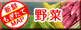 西日本の野菜！放射能検査済み