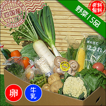 西日本のお野菜セット！牛乳入りです！