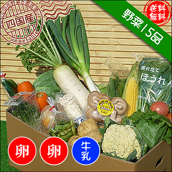 西日本のお野菜セット！牛乳入りです！