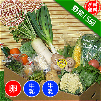 西日本のお野菜セット！牛乳入りです！