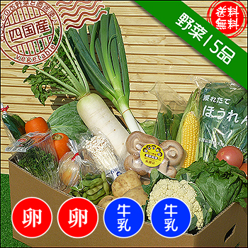 西日本の野菜セットの通販サイト新鮮市場【産直あきんど】