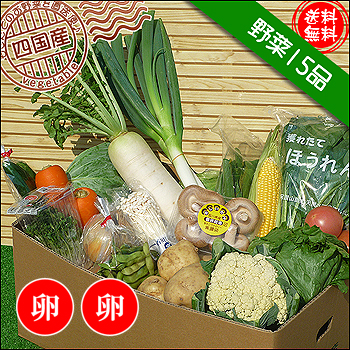 【送料無料】通販。お野菜セット！15品の詰め合わせ♪