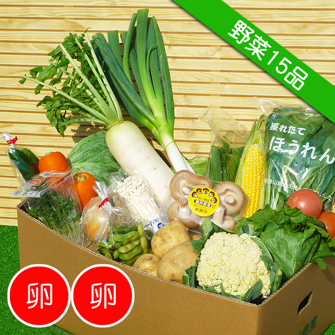 《送料無料》四国のお野菜セット！15品を産地直送便♪