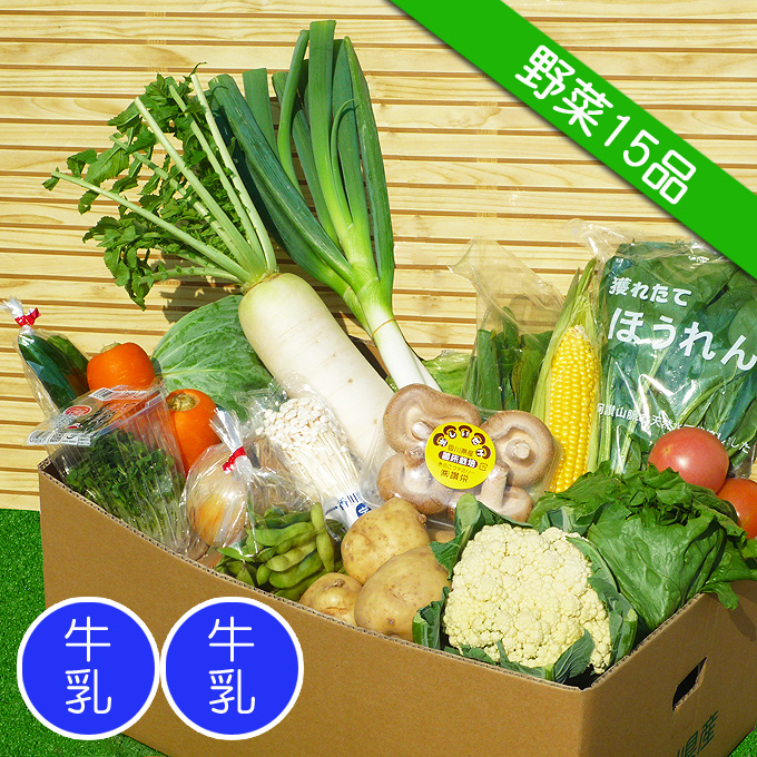 《送料無料》四国のお野菜セット！15品を産地直送便♪