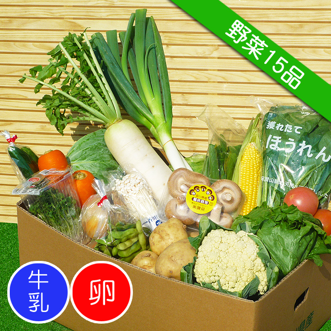 《送料無料》四国のお野菜セット！15品を産地直送便♪