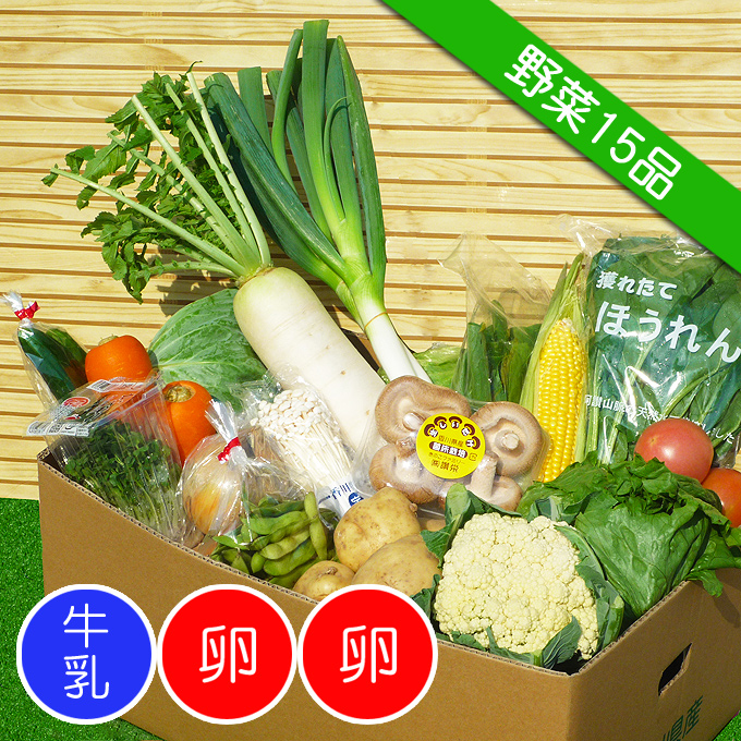 《送料無料》四国のお野菜セット！15品を産地直送便♪