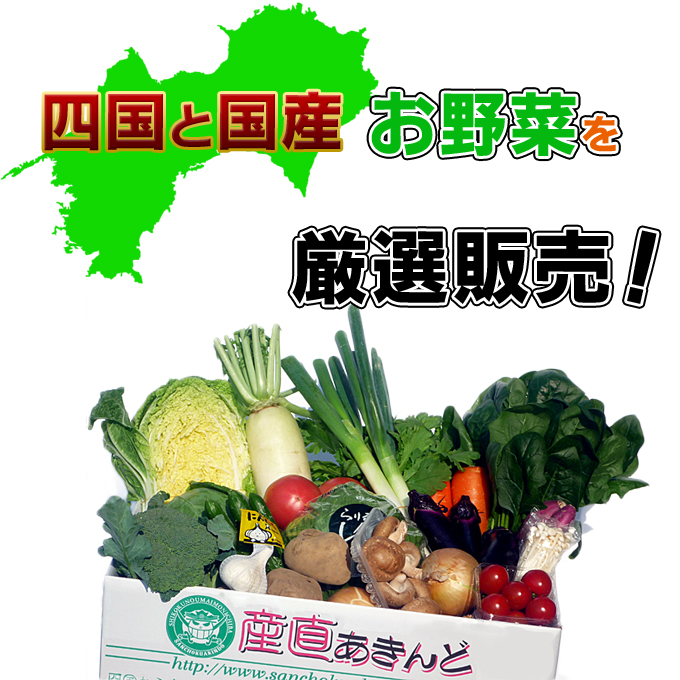 四国の野菜と国産野菜の詰め合わせ